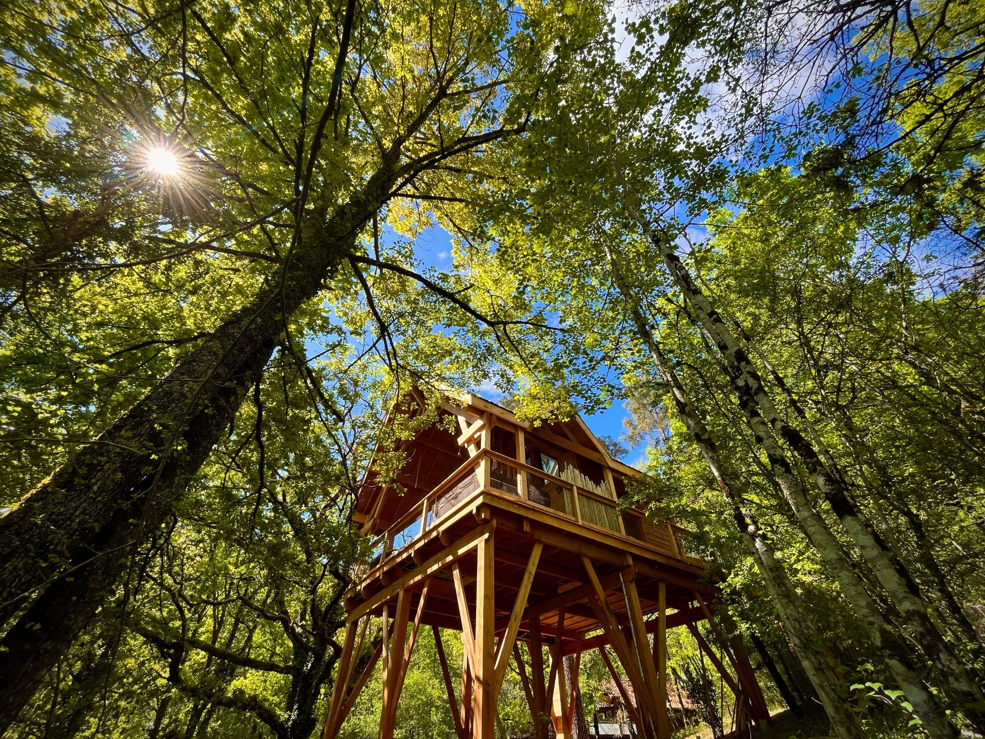 Cabane perchée & spa + sauna