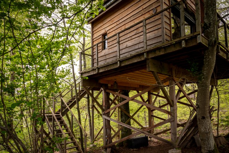 Hébergement AbracadaRoom : La Pat' de l'ours - Image 6