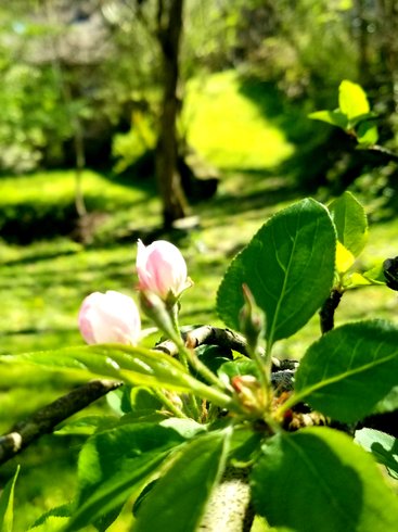 Domaine AbracadaRoom : Soulié du Tarn - Image 12