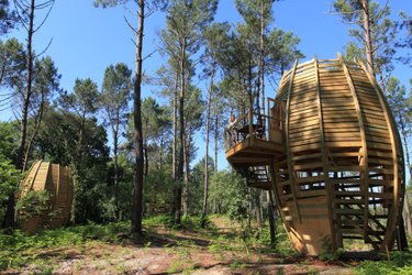 Cabane Perchée (2/3 pers) à Captieux (4)