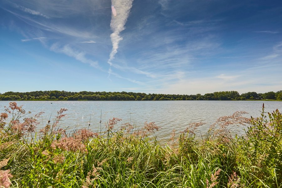 Domaine AbracadaRoom : Camping du Lac de la Chausseliere**** - Image 5