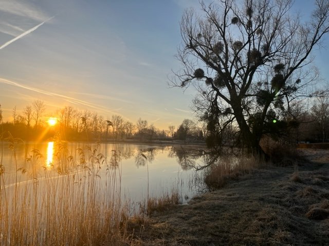 Hébergement AbracadaRoom : La bulle de l'étang d'Etat Nature - Image 4