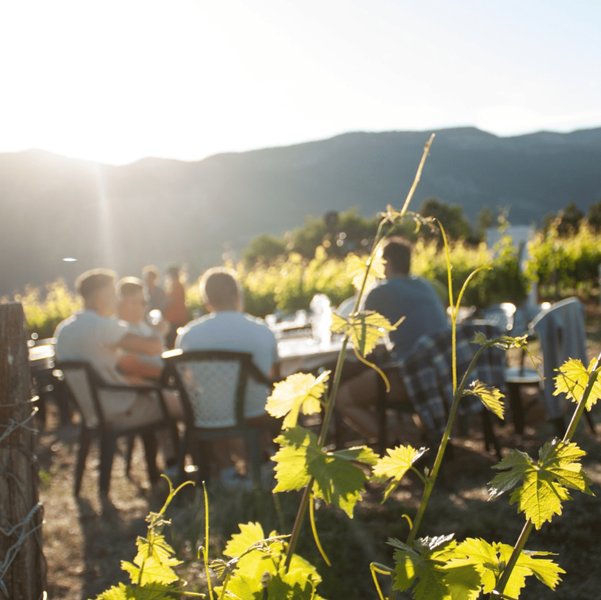 Domaine AbracadaRoom : Homnest (Aurel) - Image 11