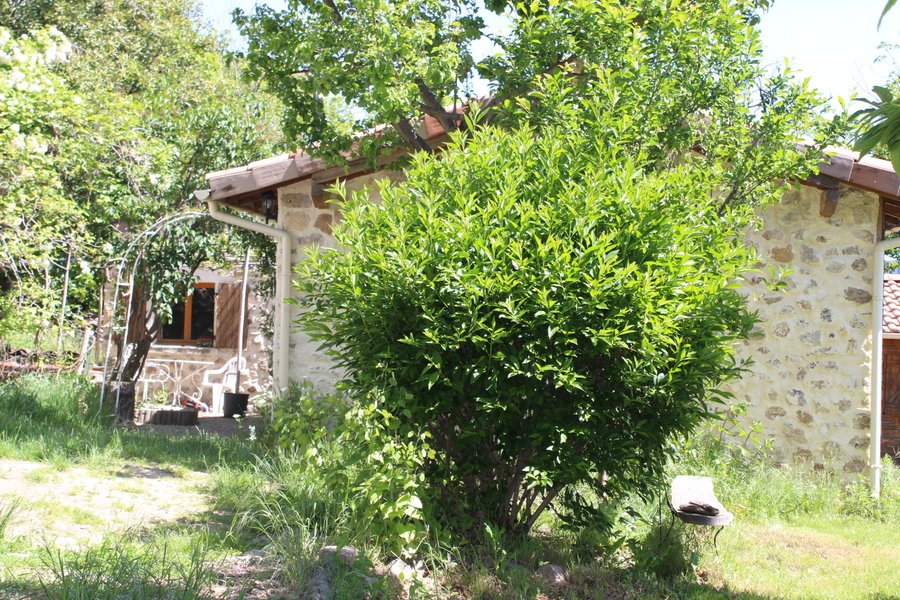 Domaine AbracadaRoom : ECOLIEUX l'Arbre de Vie en Ardèche - Image 2