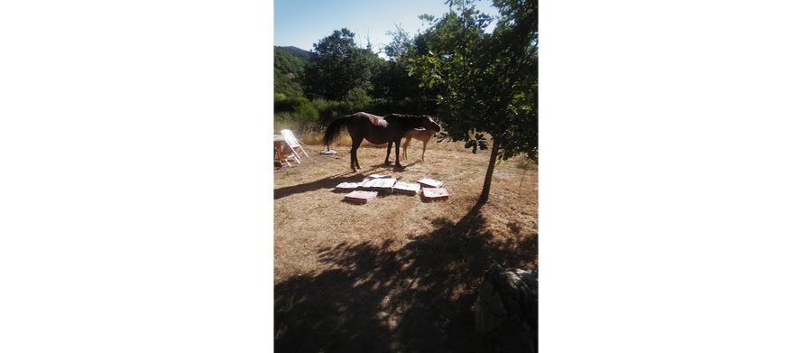 Hébergement AbracadaRoom : Chalet "Instant Spa" - Image 24