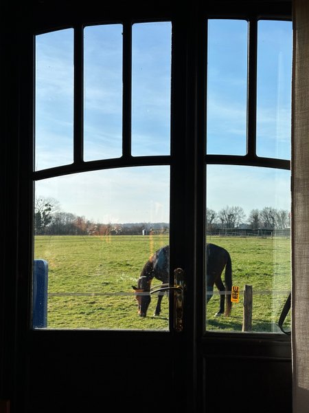 Domaine AbracadaRoom : Les roulottes des amis de Wonky - Image 9