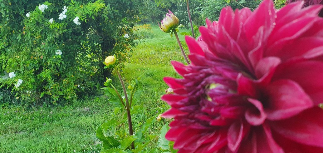 Domaine AbracadaRoom : Gite La Petite Clavelie - Image 8