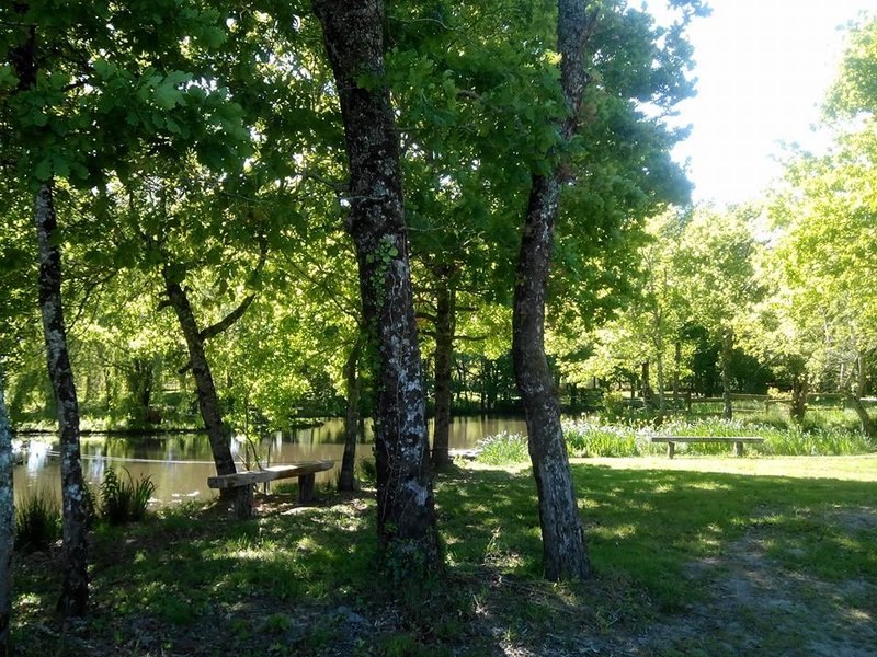 Domaine AbracadaRoom : Le Ranch Amadeus - Image 7