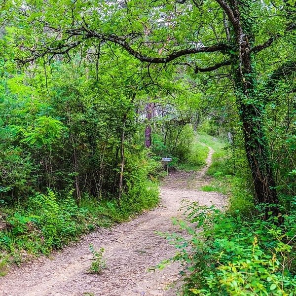 Domaine AbracadaRoom : Le Mas des Pins - Image 12