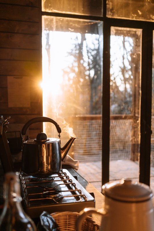 Canopée à Plaine (9)