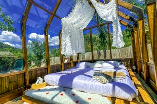 Chalet en verre sous une pluie d’étoiles