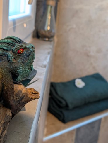 Hébergement AbracadaRoom : Nuit insolite avec Spa, sauna et jardin privatifs immersion en AMAZONIE - Image 29