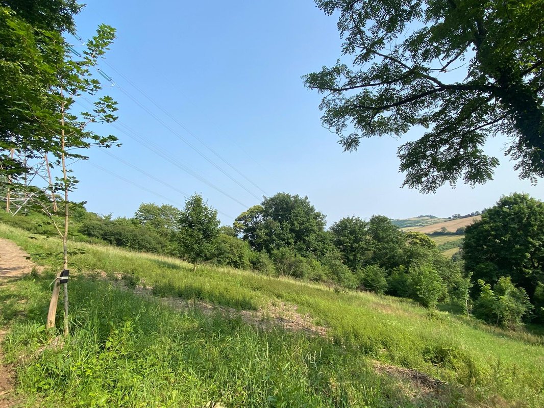 Cabane autonome dans les bois à Leynes (13)