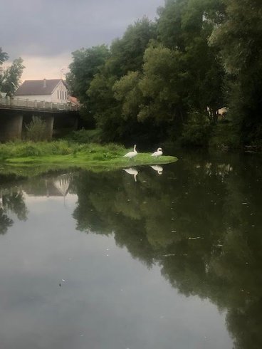 Hébergement AbracadaRoom : Tiny house du pêcheur - Image 9