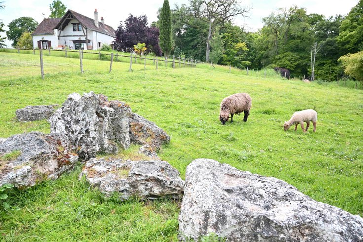 Domaine AbracadaRoom : Domaine de la Roche Bellin - Image 7