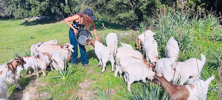 Hébergement AbracadaRoom : NASSA - Image 15