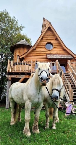 Hébergement AbracadaRoom : Le Repaire du dragon, château féérique avec SPA - Image 26