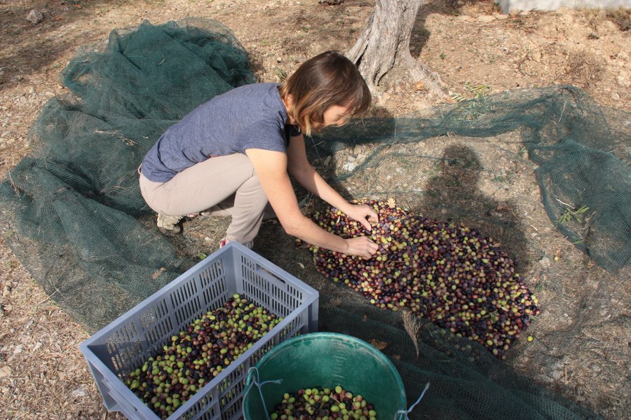 Domaine AbracadaRoom : Cabane du Ventoux - Image 3