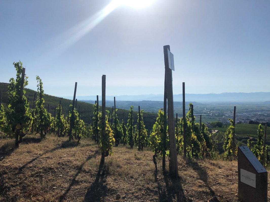 Mas des Poutres - Tinyhouse **** à Charmes-Sur-L'herbasse (24)