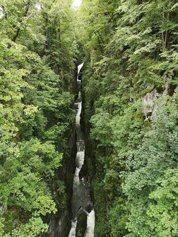 Hébergement AbracadaRoom : Les Logettes de Caroline, Ecolodge & Bain Nordique - Image 23