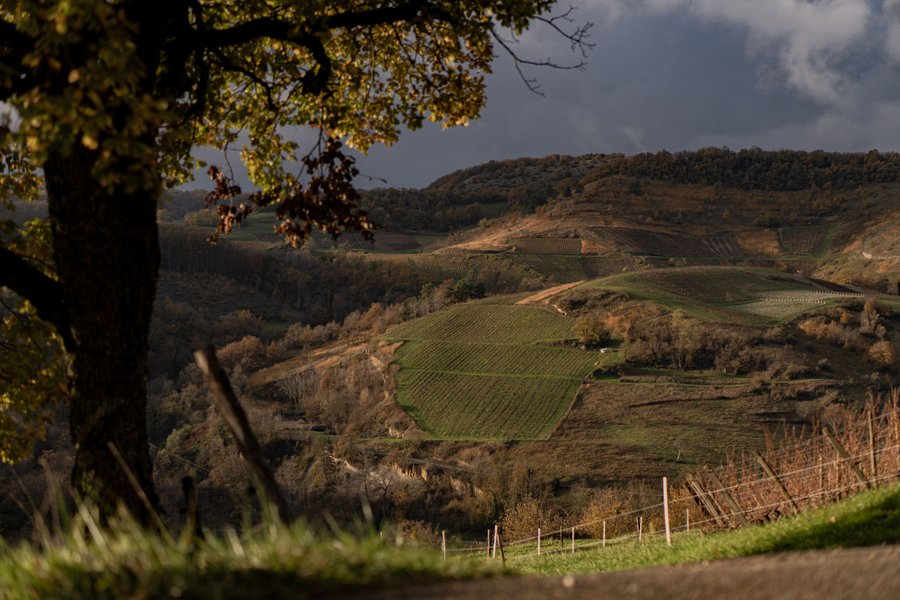 Hébergement AbracadaRoom : Belvédère du Haut Bugey - Refuge dans les cépages - Image 46