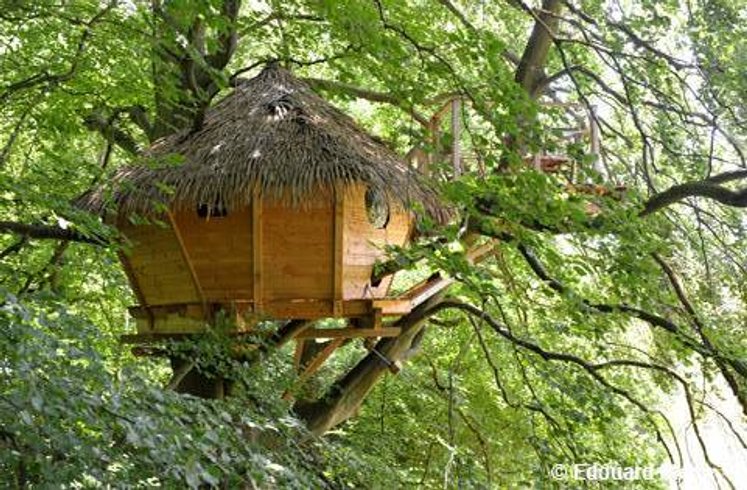 Hébergement AbracadaRoom : Grand Hêtre - Image 2