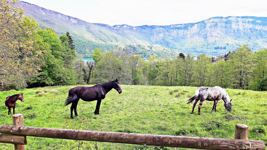 Hébergement AbracadaRoom : Bulle Texas – Luxe  & SPA – Vue Lac Aiguebelette - Image 56