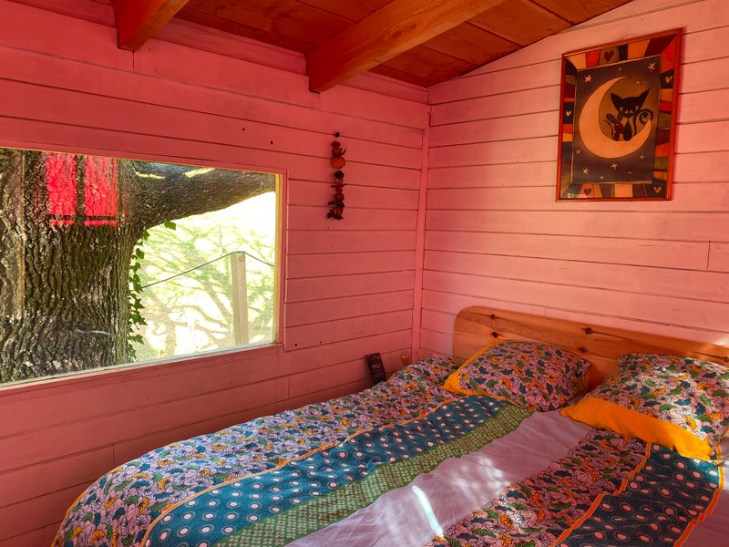Domaine AbracadaRoom : Cabane dans le chêne tricentenaire - Image 4