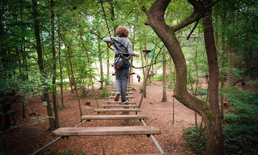 Domaine AbracadaRoom : L'Etape en Forêt - Image 3