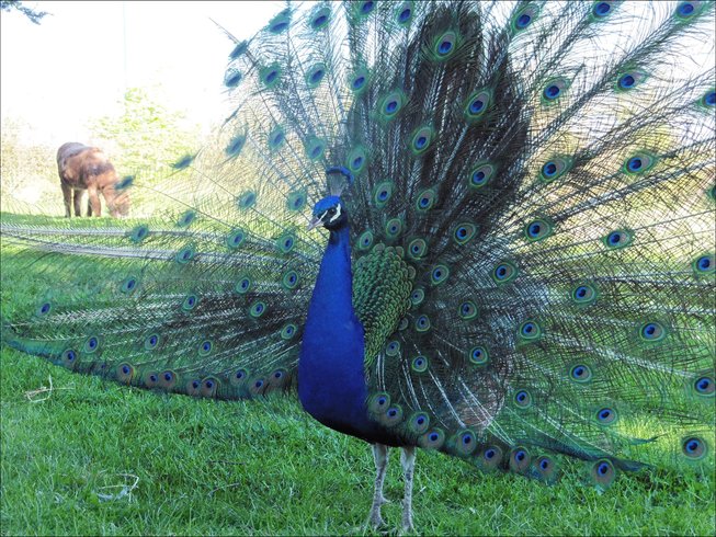 Domaine AbracadaRoom : Manoir de l'Espérance - Image 5