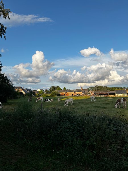 Domaine AbracadaRoom : Le Vert d'Orezza - Image 1