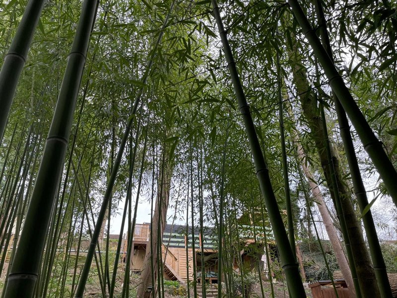 Hébergement AbracadaRoom : La Cabane du Panda & Spa - Image 29