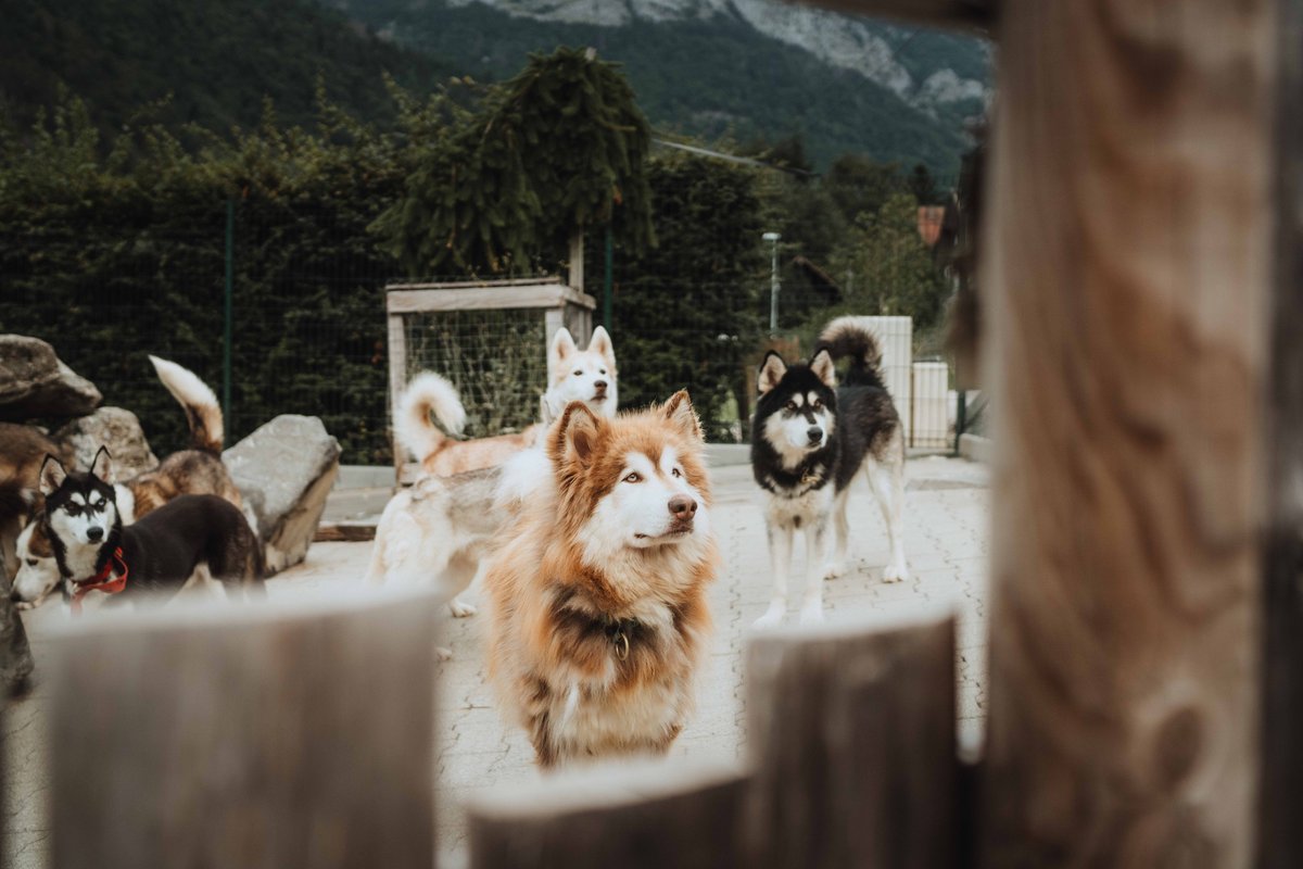 La Mine de Buck & Spa à Le Biot (38)