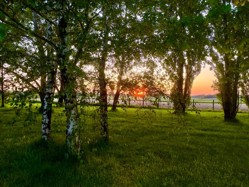 Domaine AbracadaRoom : Domaine des Anes - Image 13