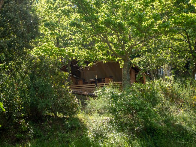 Hébergement AbracadaRoom : Safari Lodge LUXE - Image 10