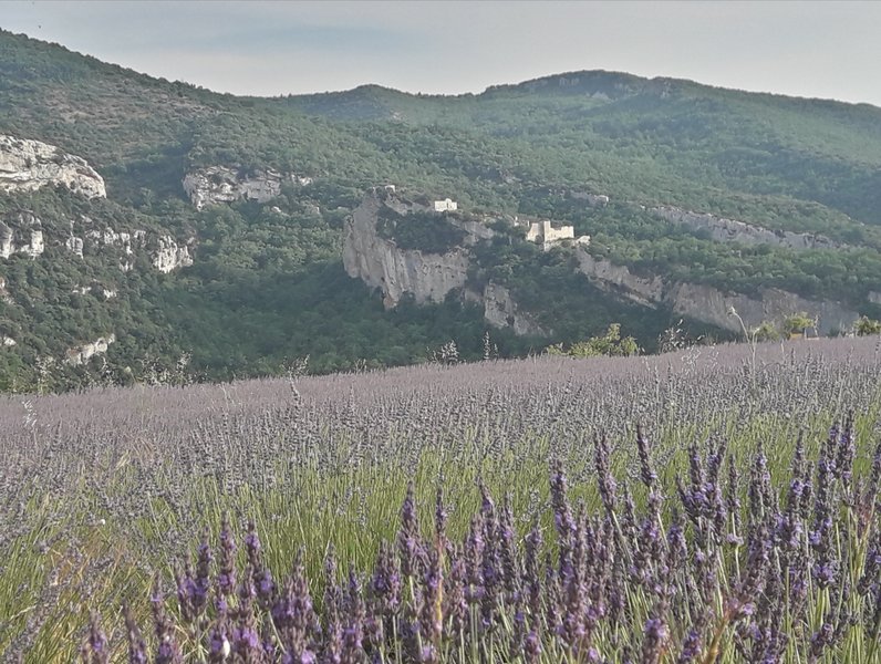 Domaine AbracadaRoom : Roulotte la Clé du Luberon - Image 21