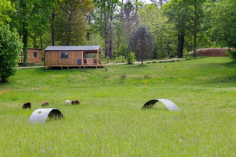 Hébergement AbracadaRoom : Chalet Horizon - 7 personnes - Image 4