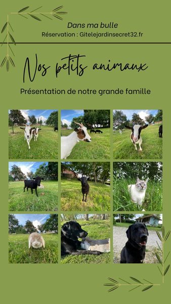 Domaine AbracadaRoom : Dans ma bulle - Image 20