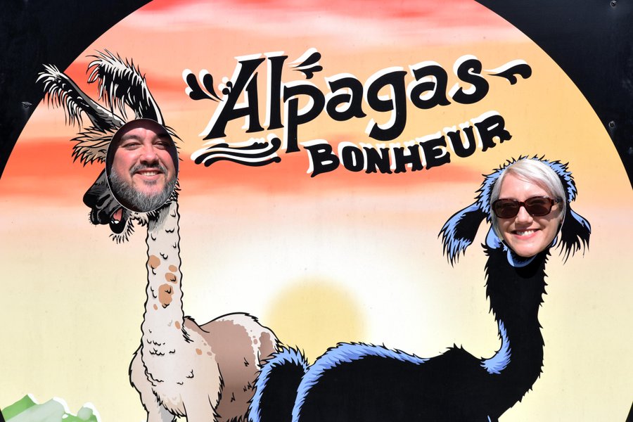 Domaine AbracadaRoom : Les Lodges des Grands Crus - Image 7