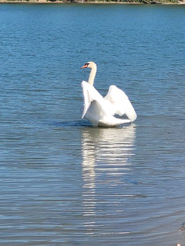 Domaine AbracadaRoom : Le Dôme du Lac de la Cadie - Image 15