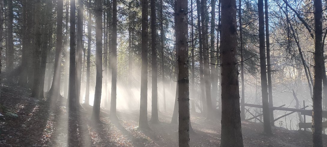 Hébergement AbracadaRoom : La Cabane de Trappeur - Image 17