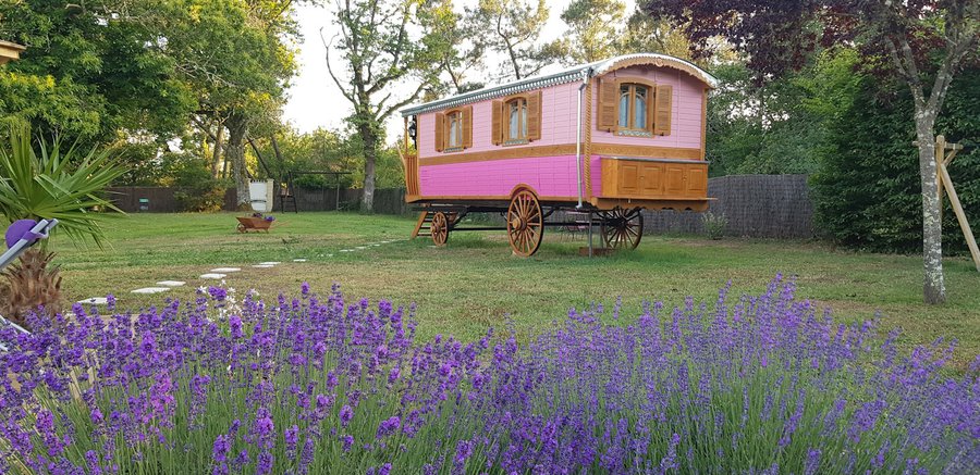 Hébergement AbracadaRoom : Roulotte Ô Bois d'mon cœur - Image 1
