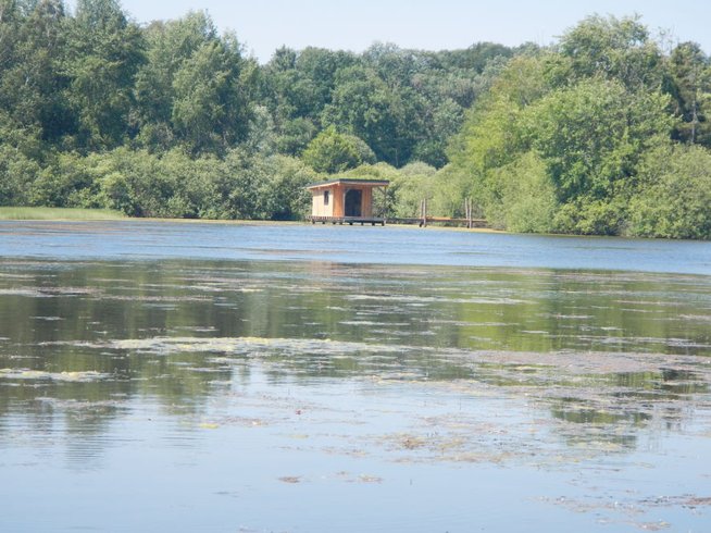 Domaine AbracadaRoom : Les Gîtes de Robin'Son - Image 1