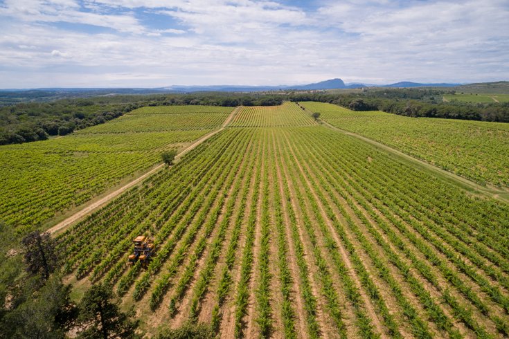 Domaine AbracadaRoom : Domaine St-Jean de l'Arbousier - Image 5