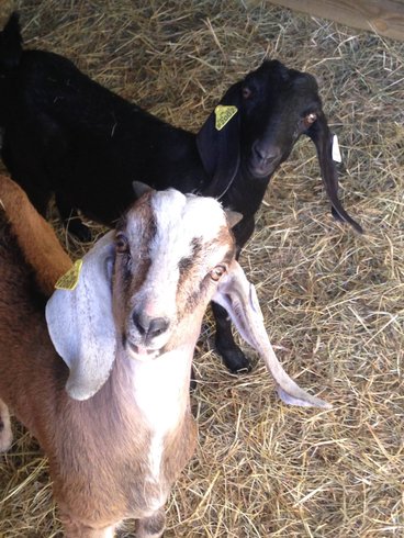 Domaine AbracadaRoom : Parenthèse Nuit - Image 4