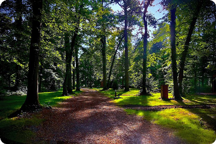Hébergement AbracadaRoom : Les Lodges de Vaugrigneuse - Image 7