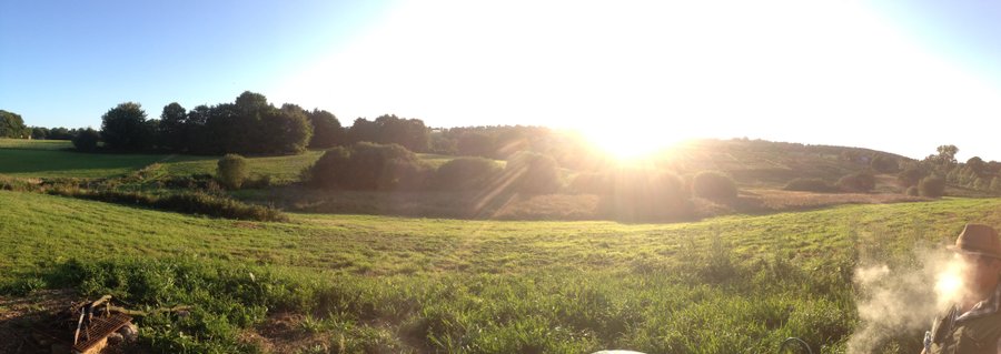panorama-frene-green-tree-glamping
