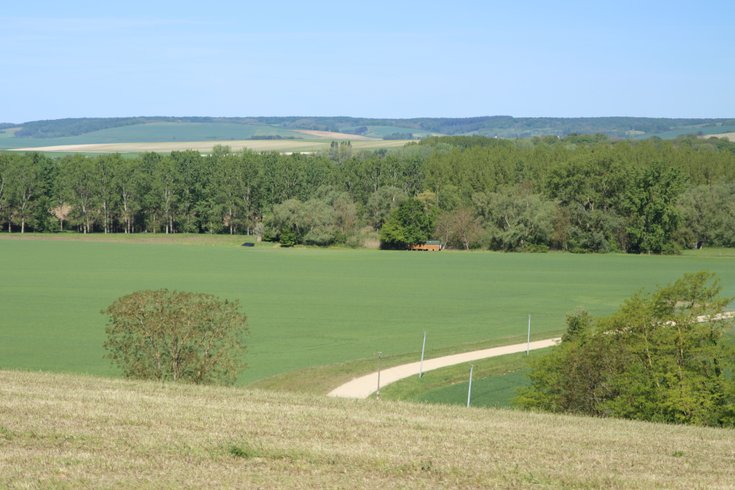 Domaine AbracadaRoom : Les cabanes de Noël - Image 2