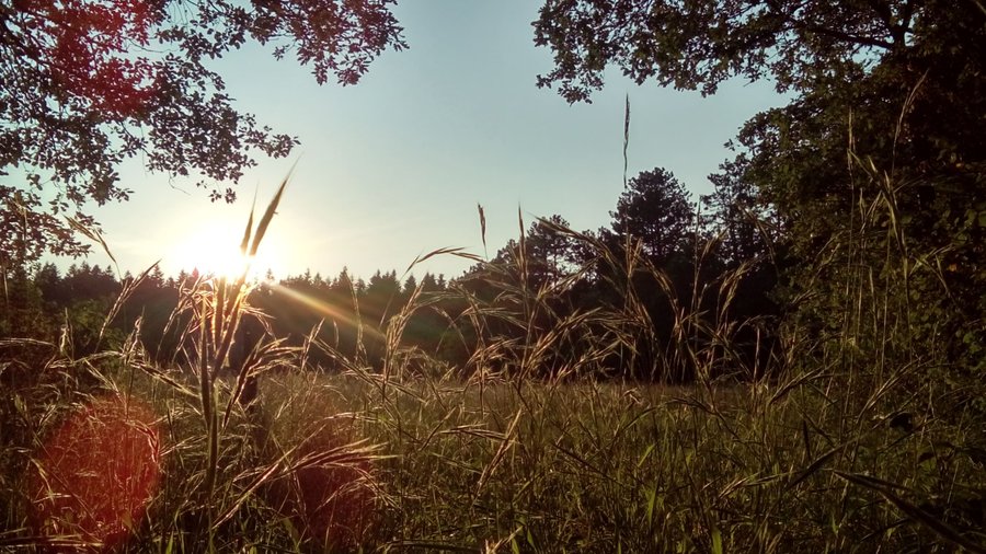 Domaine AbracadaRoom : KAYANE "balades à dos d'âne & nuitées atypiques" - Image 2