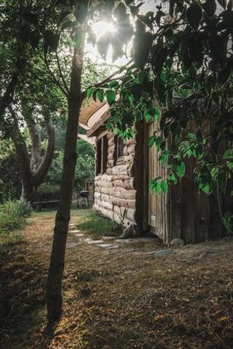 Domaine AbracadaRoom : Domaine la Cabane en Bois - Image 6